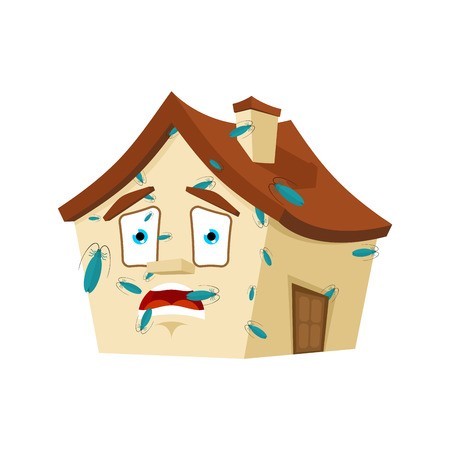 Mettre de la joie dans sa maison Nettoyer les émotions négatives dans sa maison